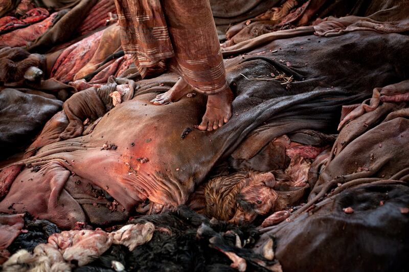 galleries/2013/10/19/the-week-in-photos-october-18-2013/131017-animal-carcases-wip_z3h3dz