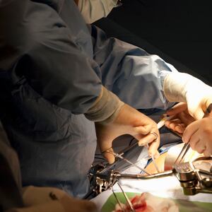 articles/2012/05/02/facebook-s-organ-donor-option-sounds-good-but-should-we-be-paranoid-about-privacy/organ-donation-facebook-sepkowitz-tease_sxtixj