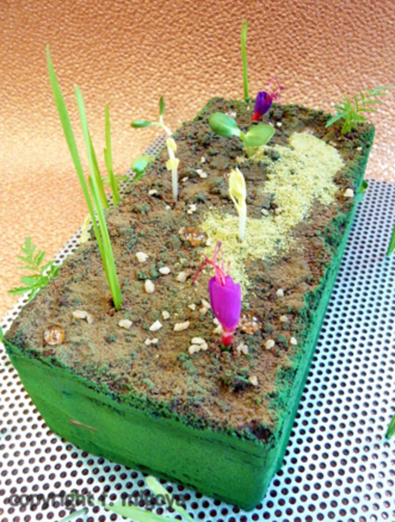 galleries/2011/01/15/high-concept-desserts/high-concept-desserts-3_j9hv3p