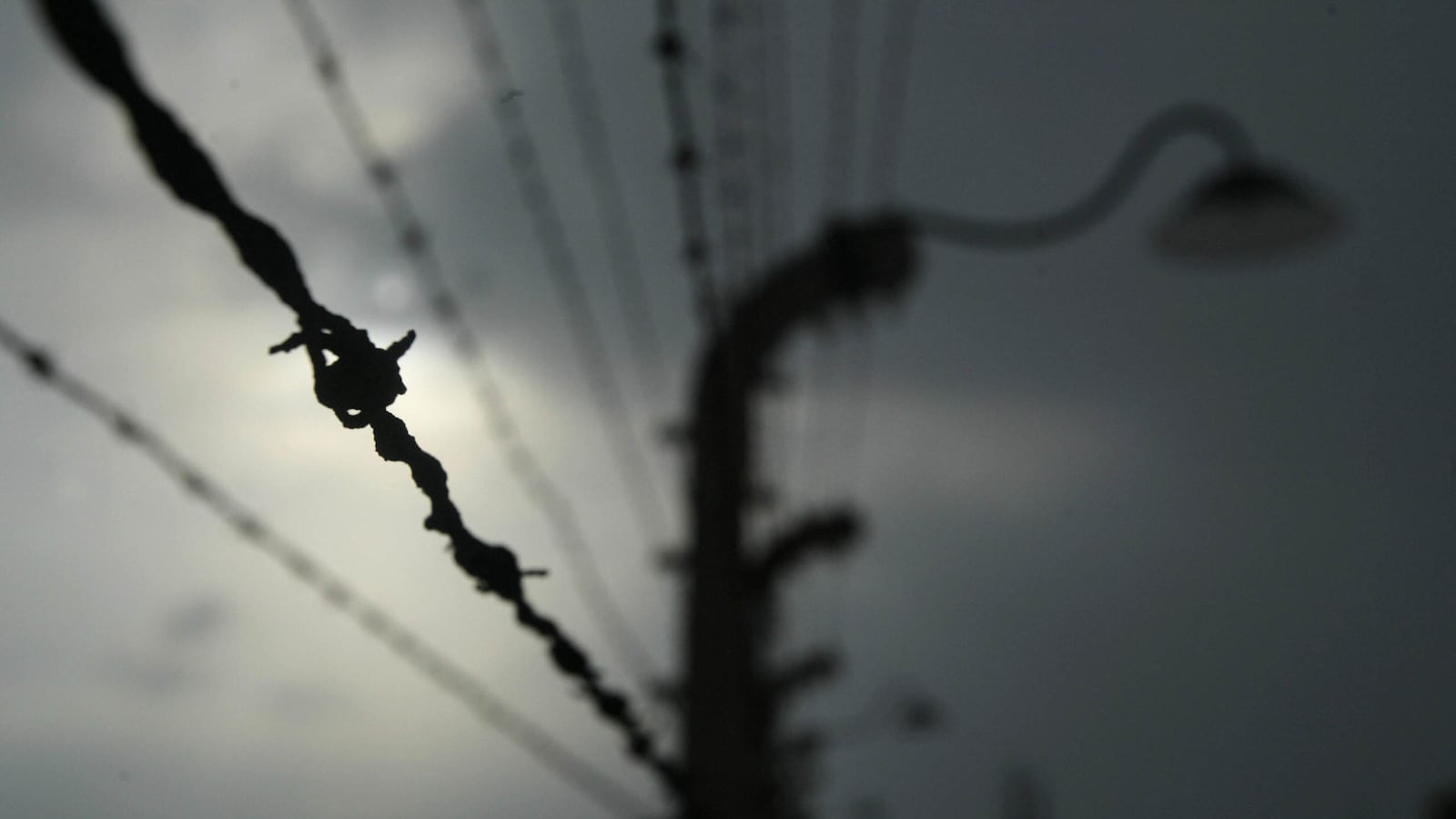 cheats/2014/07/07/nazi-hunters-target-17-former-ss-guards/140707-nazi-hunt-cheat_dyoipr