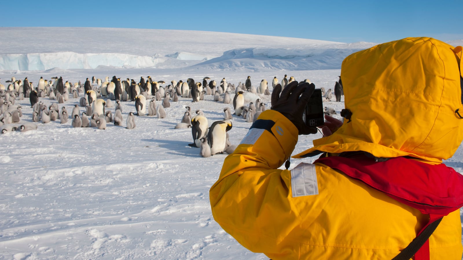 210602-antarctica-tourism-hero_xh5wku