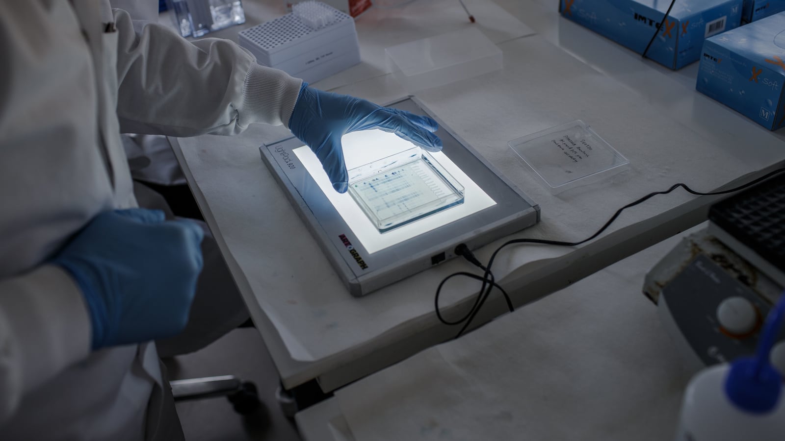 GettyImages-1208040942_rpqcoq