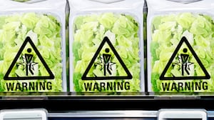 Bags of lettuce with warning label
