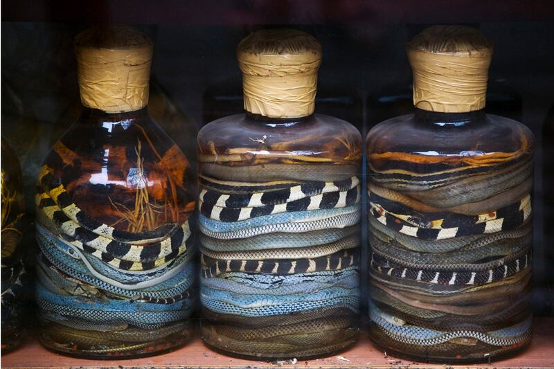 galleries/2012/10/06/the-world-s-weirdest-alcohol-model-booze-pizza-beer-more-photos/weird-alcohol-snake-wine_d6ryw7
