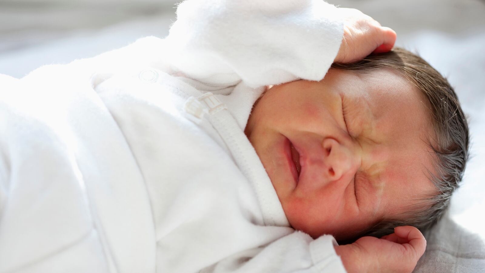 cheats/2013/04/06/sears-walmart-portrait-studios-close/130406-portrait-studio-close-cheat_ytjgzt