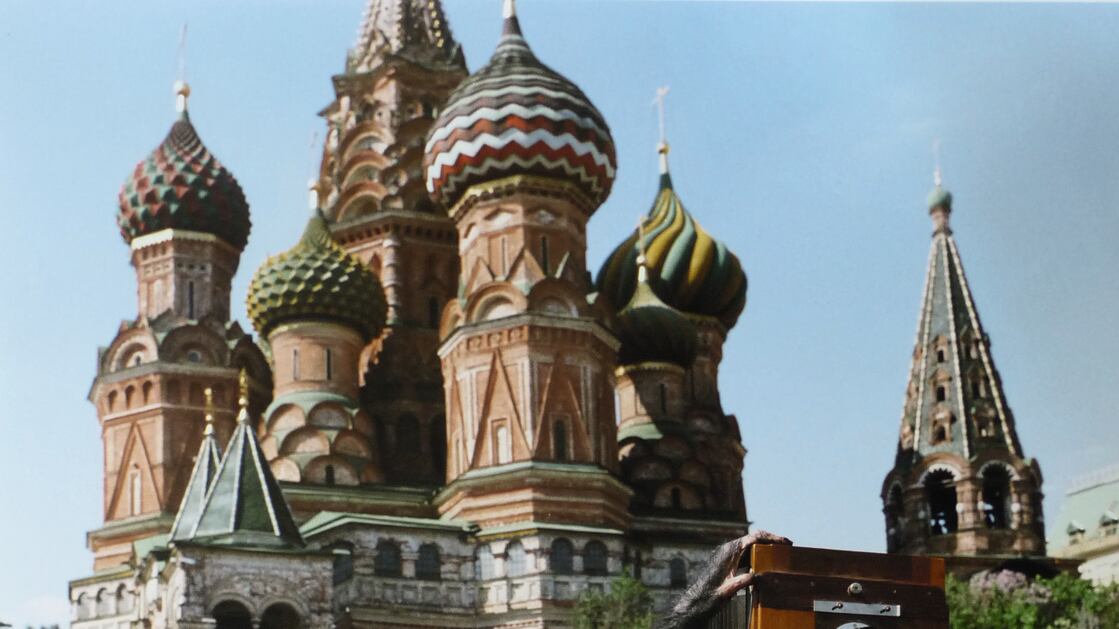 articles/2013/06/06/monkey-business/130606-art-beast-chimp-photo-embed_cb7c66