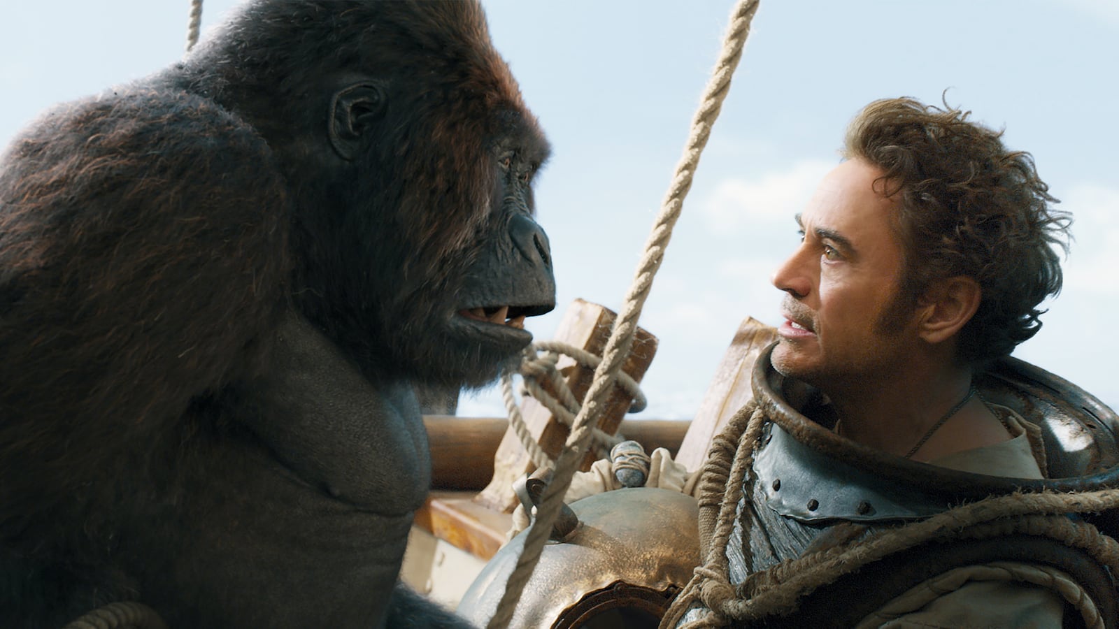 200114-Fallon-Dolittle-review-tease_seyq7p