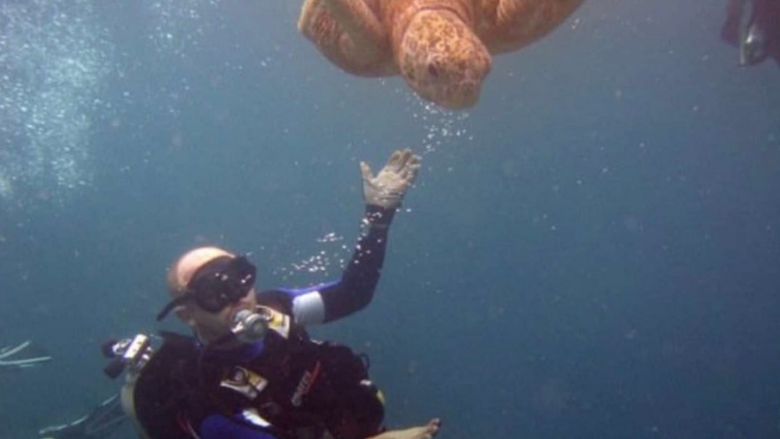 Screen_Shot_2022-04-15_at_6.56.58_AM_clua9s