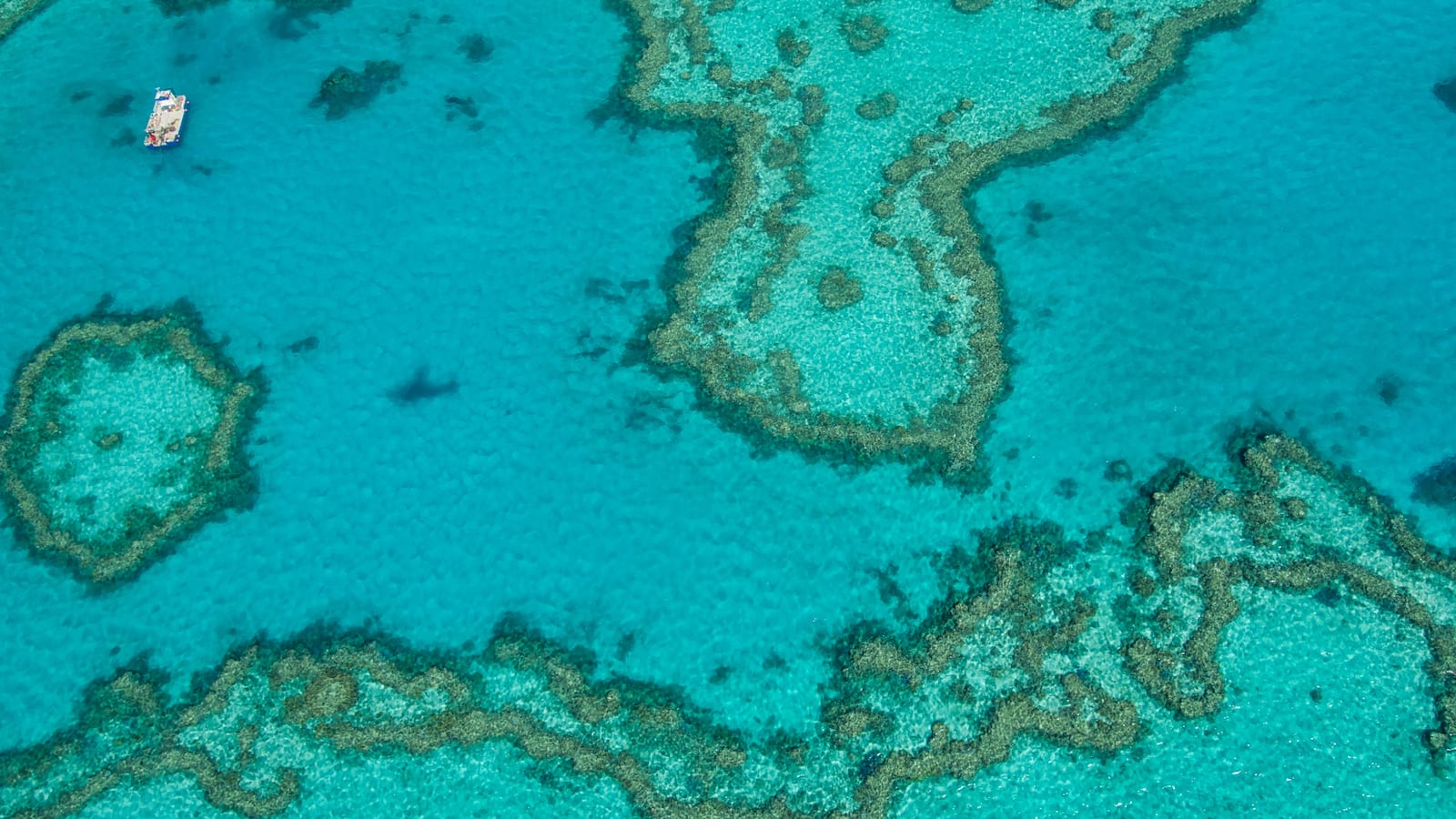 Natural Great Barrier Reef in Queensland. Aerial view of nature paradise with magnificent colors.