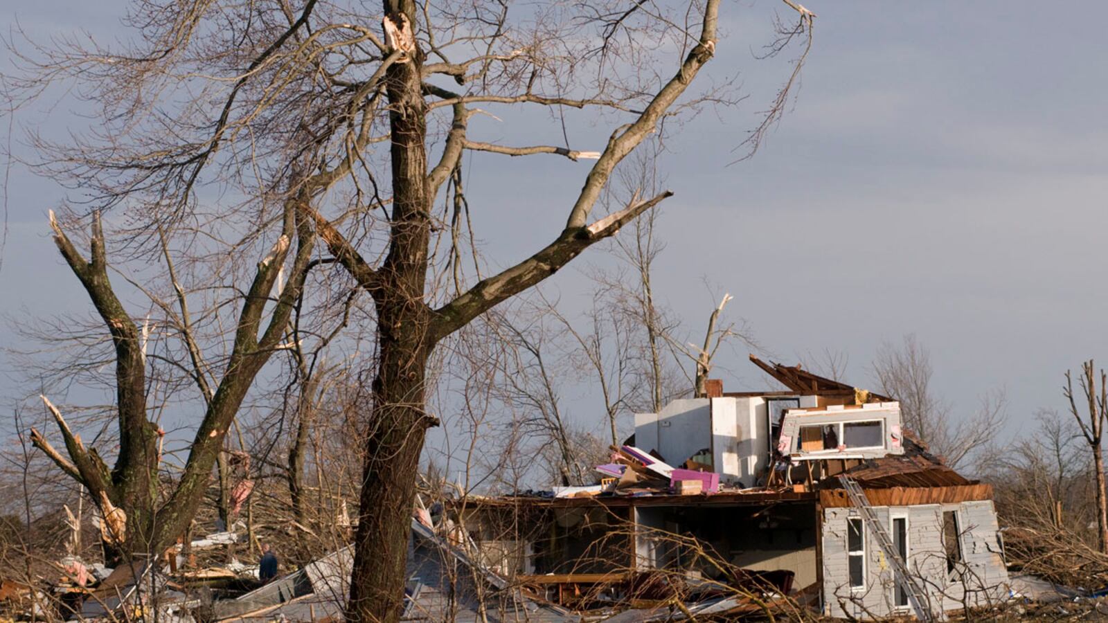 cheats/2012/03/03/28-dead-in-southern-storms/tornado-flattens-maryville-indiana-cheat_ulie7x