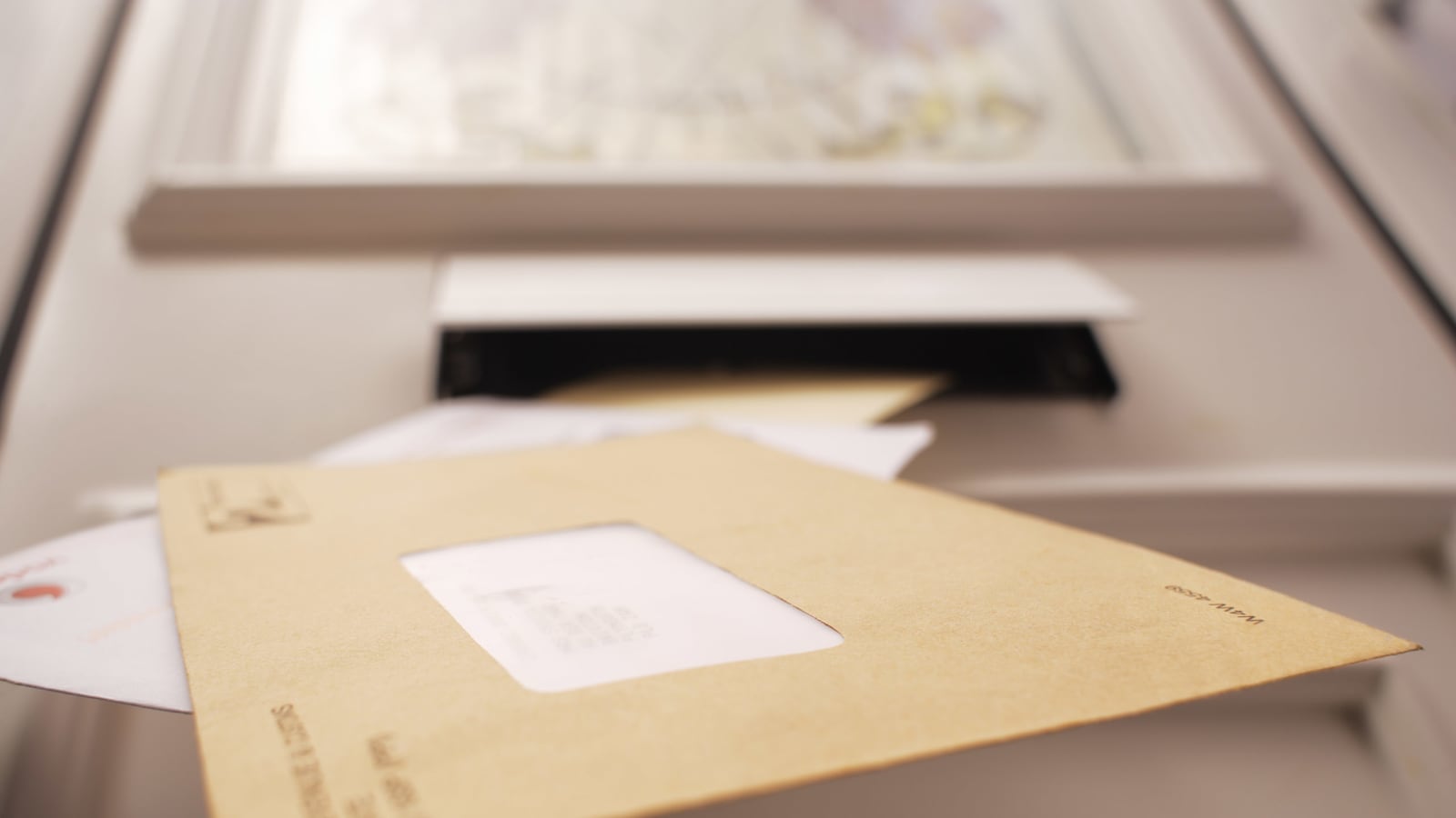 articles/2014/10/30/pro-life-group-sends-over-the-top-mailer/141030-jacobs-mailer-tease_ixp49i
