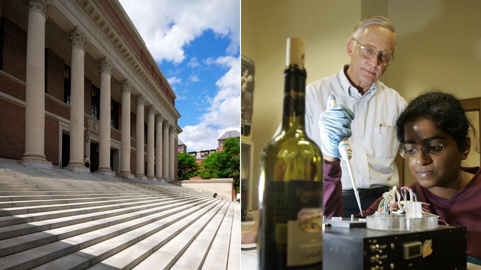 galleries/2010/09/06/hot-college-courses/dzieza-hot-college-course---harvard-cooking_u1jquc