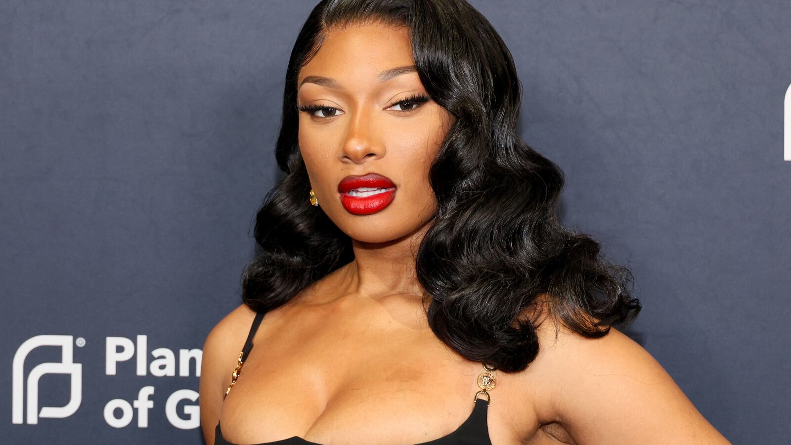 Megan Thee Stallion attends the 2024 Planned Parenthood Of Greater New York Gala on April 16, 2024 in New York City.