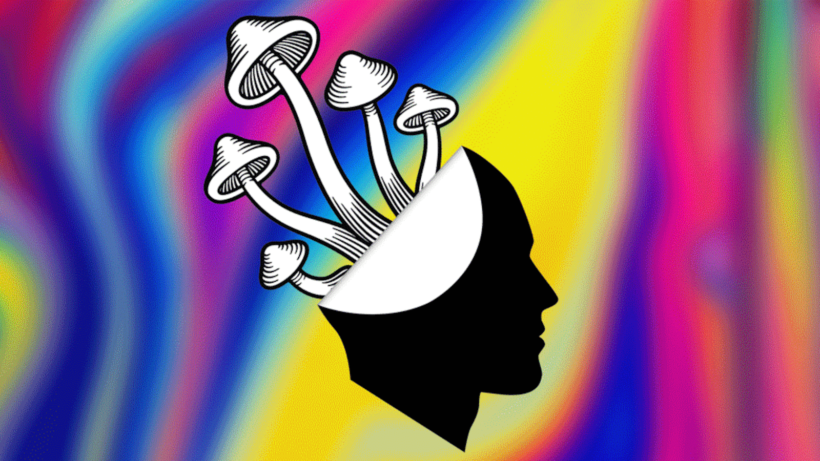 201031-oneill-mushroom-tease_jz5h57