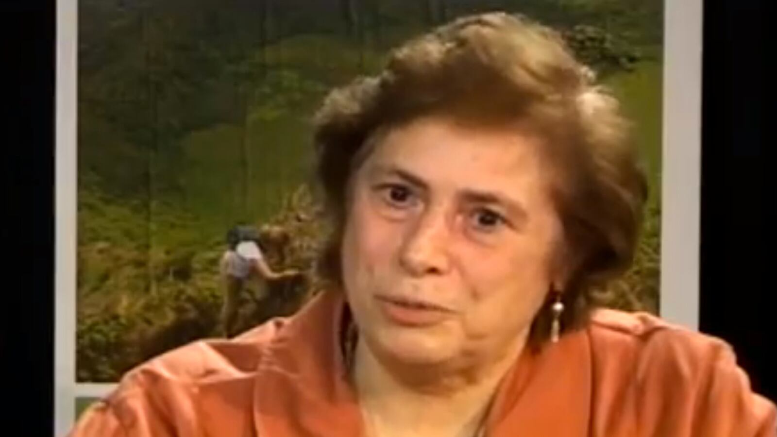 cheats/2013/12/12/health-official-dies-in-plane-crash/131212-plane-fuddy-cheat_p6bwwr