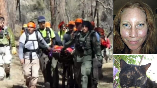 galleries/2010/12/13/heroic-animals/missing-hiker-new-mexico_umdhb2