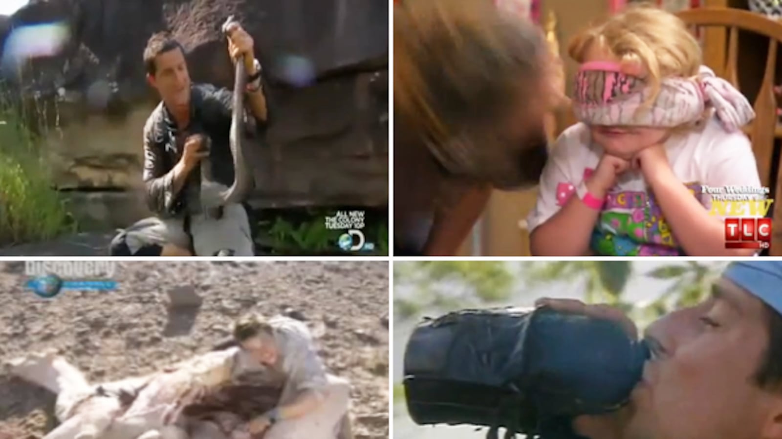 articles/2012/12/05/reality-tv-s-grossest-moments-dead-cats-donkey-semen-more-video/reality-tv-gross-moments-vid-tease_hrfcrg