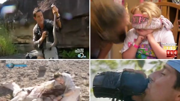 articles/2012/12/05/reality-tv-s-grossest-moments-dead-cats-donkey-semen-more-video/reality-tv-gross-moments-vid-tease_hrfcrg