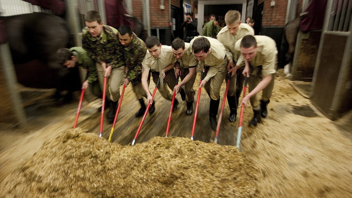 galleries/2012/03/29/pomp-circumstance-and-manure-a-day-in-the-life-of-the-royal-household-cavalry/household-cavalry-4_vrlugz