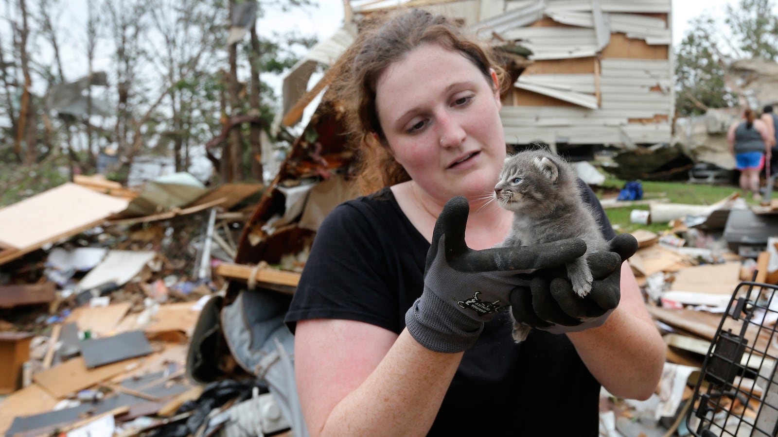 articles/2013/05/23/the-twister-stole-my-pet-how-cats-dogs-and-a-donkey-survived-oklahoma/130522-pelisek-animals-tease_d8jeee
