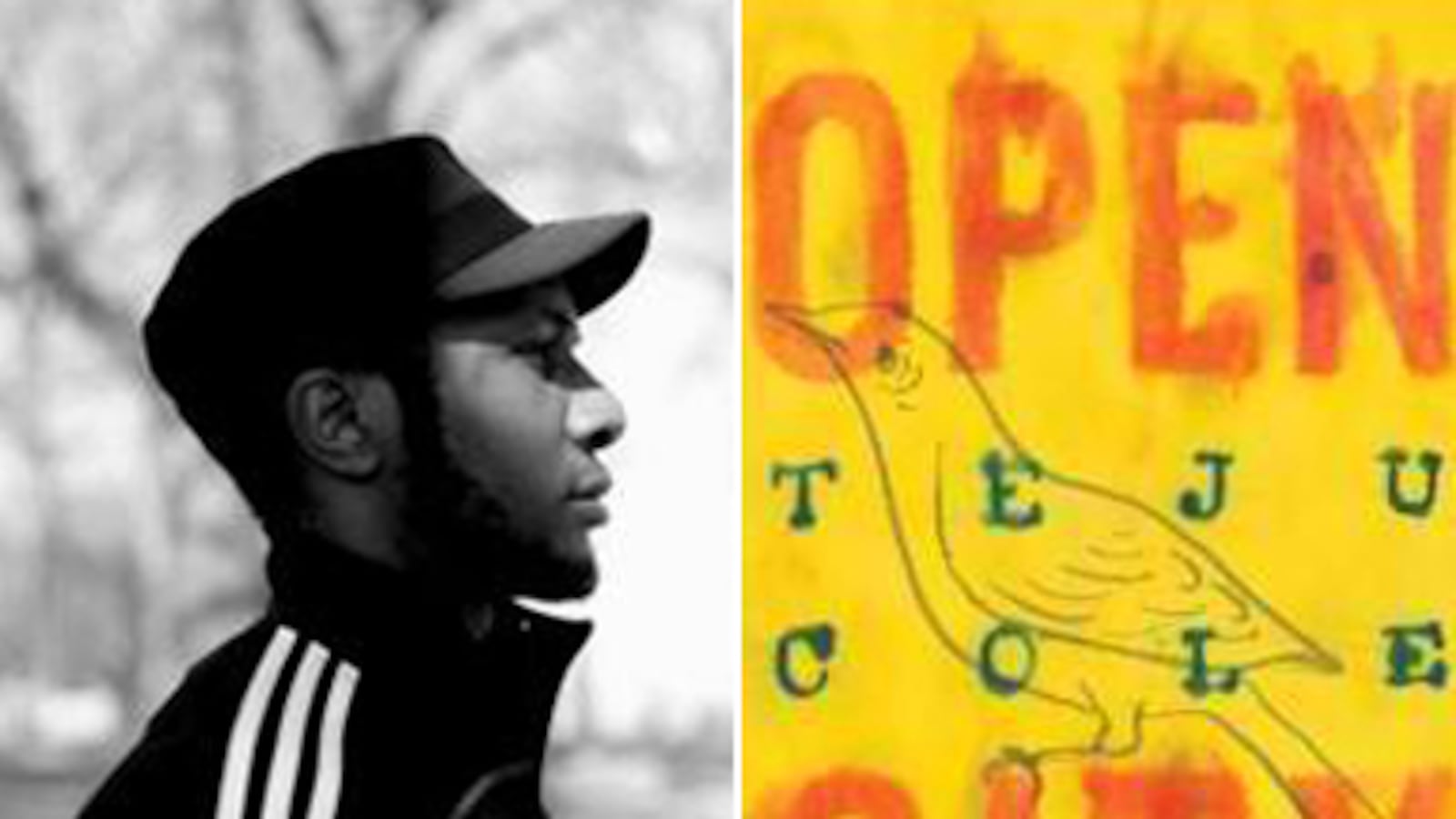 articles/2011/02/07/open-city-by-teju-cole-review/antrim-open-city_158608_irdur9