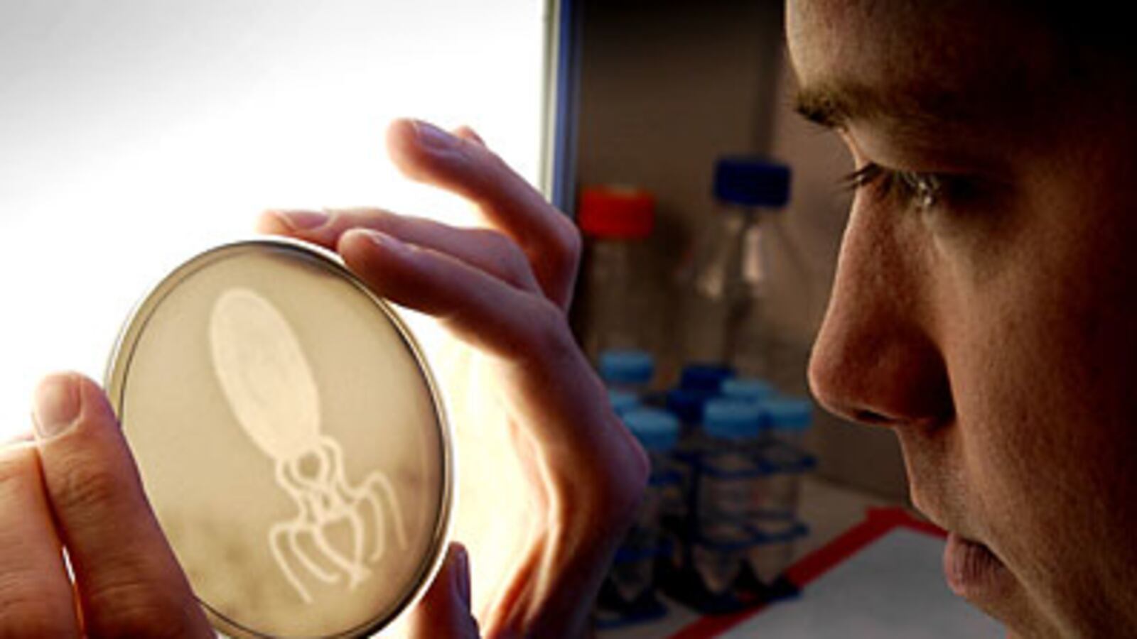 articles/2010/05/31/microbial-art-uses-e-coli-and-viruses-to-make-art/etkin-microbial-art_103351_nxc72r