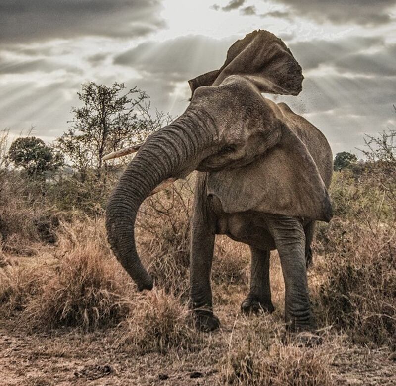 articles/2015/03/22/instagrammer-of-the-week-andy-mann-s-adventurous-life/150320-instagrammer-mann1_plx2fc