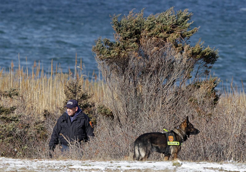 galleries/2010/12/13/heroic-animals/heroic-animals---blue-the-dog_mtst5x