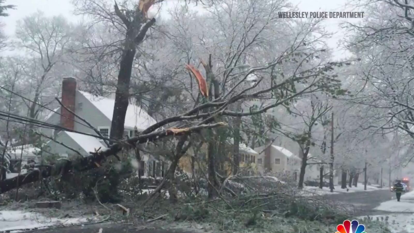 cheats/2016/04/03/dangerous-winds-leave-370k-without-power/160404-dangerous-winds-cheat_kuzbel