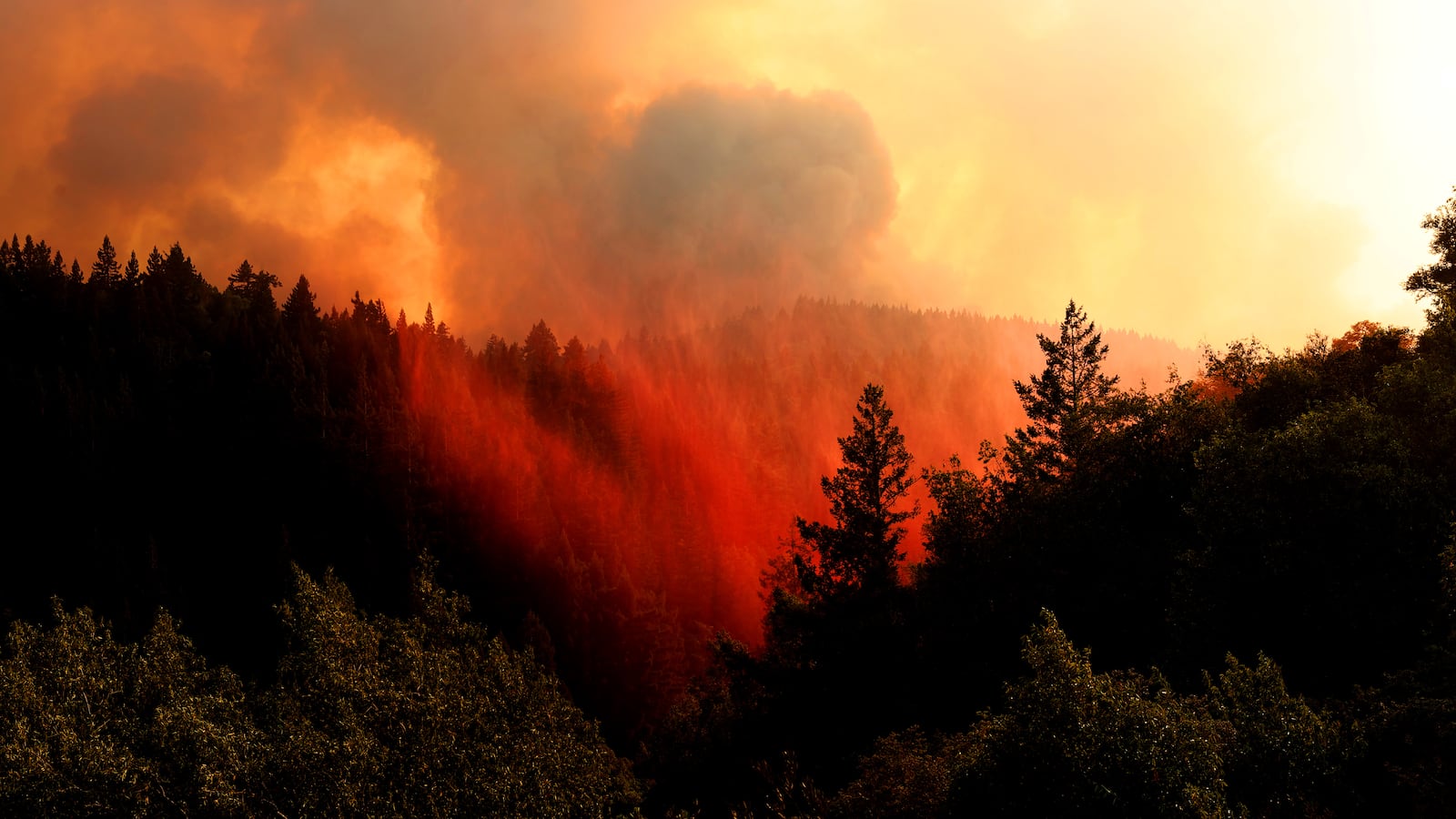 GettyImages-1267433045_fmcsuw