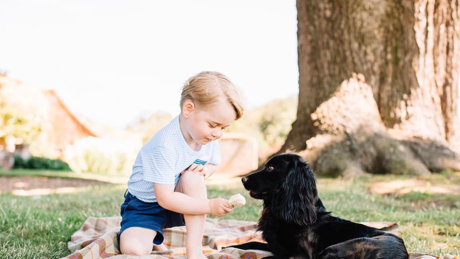 articles/2016/07/26/prince-george-3-accused-of-being-a-f-king-d-khead-with-white-privilege/160726-sykes-prince-george-tease_cmf1f3