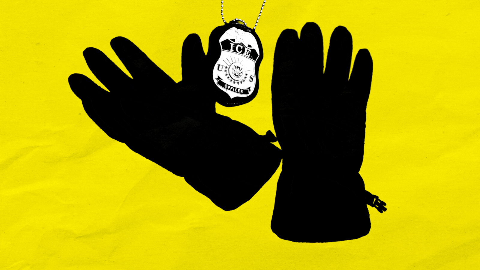 Electrified Gloves used by ICE