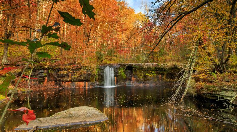 Screen_Shot_2020-09-02_at_12.08.44_PM_jlhclm