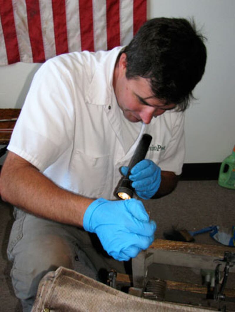 galleries/2010/08/26/hot-exterminators/hot-exterminators---krell_ztixhi