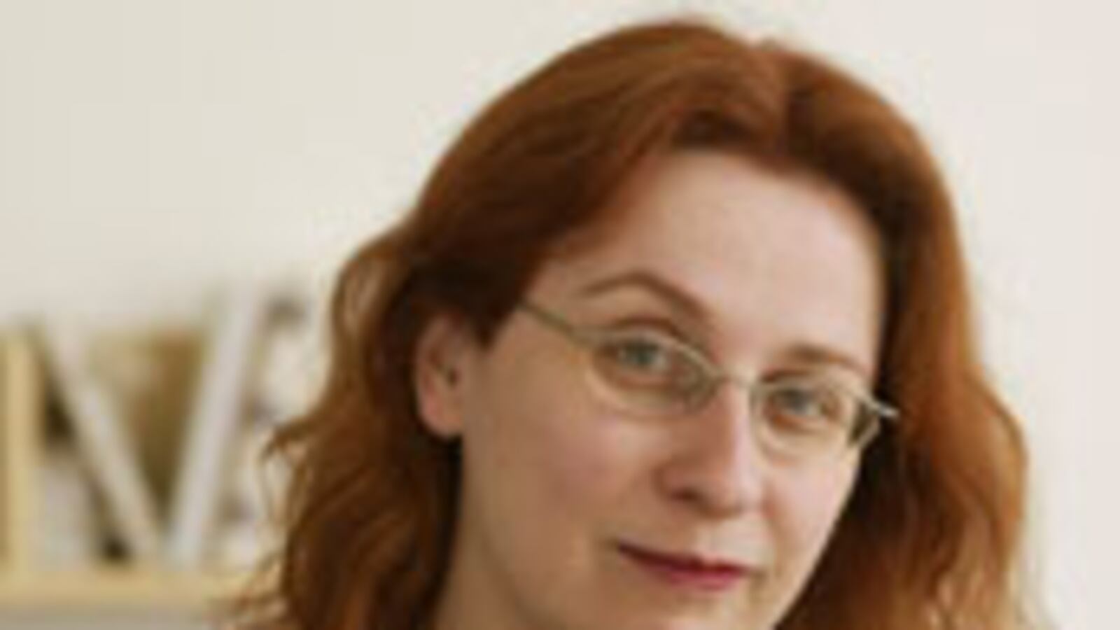 articles/2009/10/03/the-5-million-ghost-story/mcgee-niffenegger_53861_rmgzir