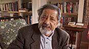 articles/2008/12/26/naipauls-art-of-darkness/naipaul_7580_vowibs