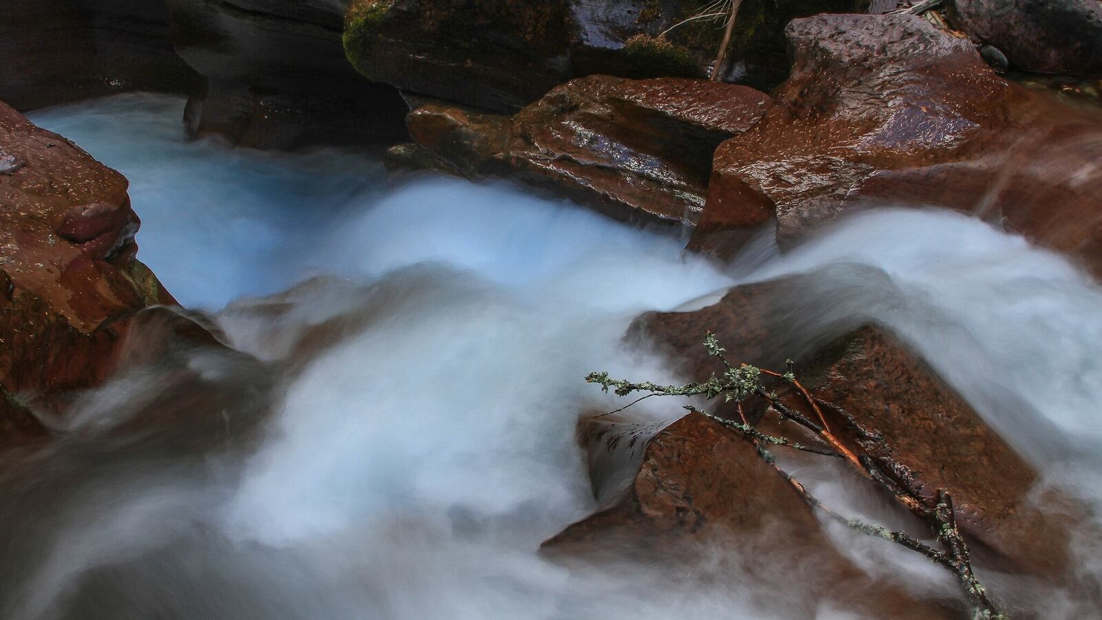 Avalanche Creek