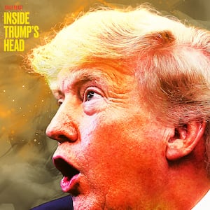 Trump's glorious hair