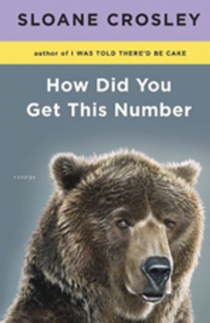 articles/2010/06/15/sloane-crosley-emily-gould-samantha-bee-books-review/book-cover---how-did-you-get-this-number_i7yfxx