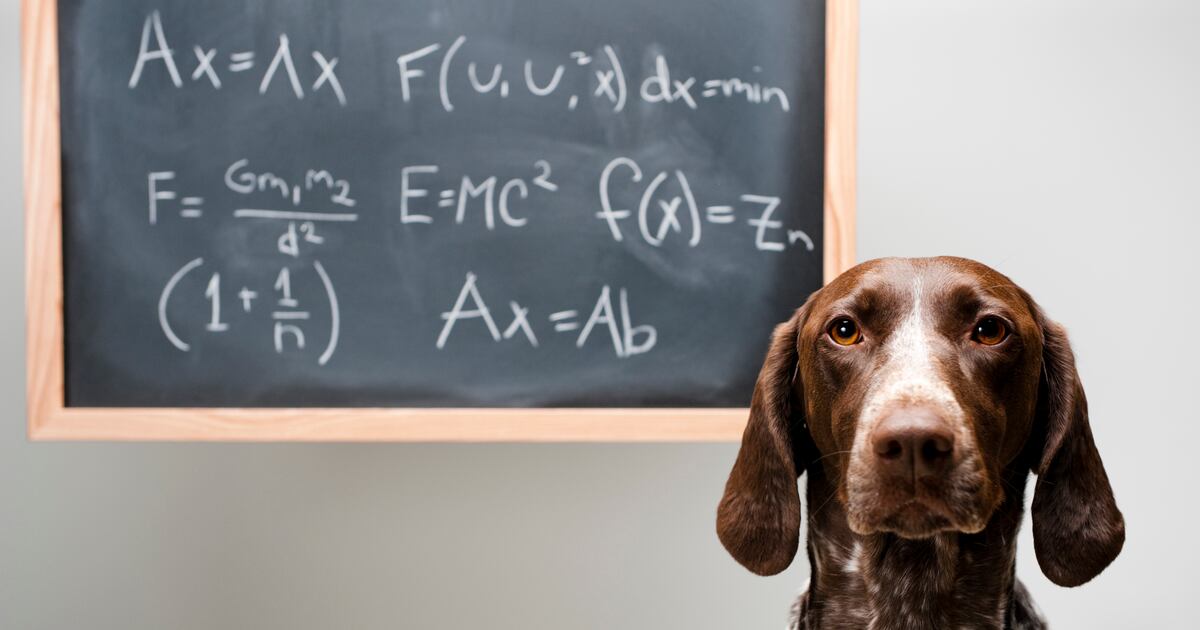 Algorithms Will Train Your Dog