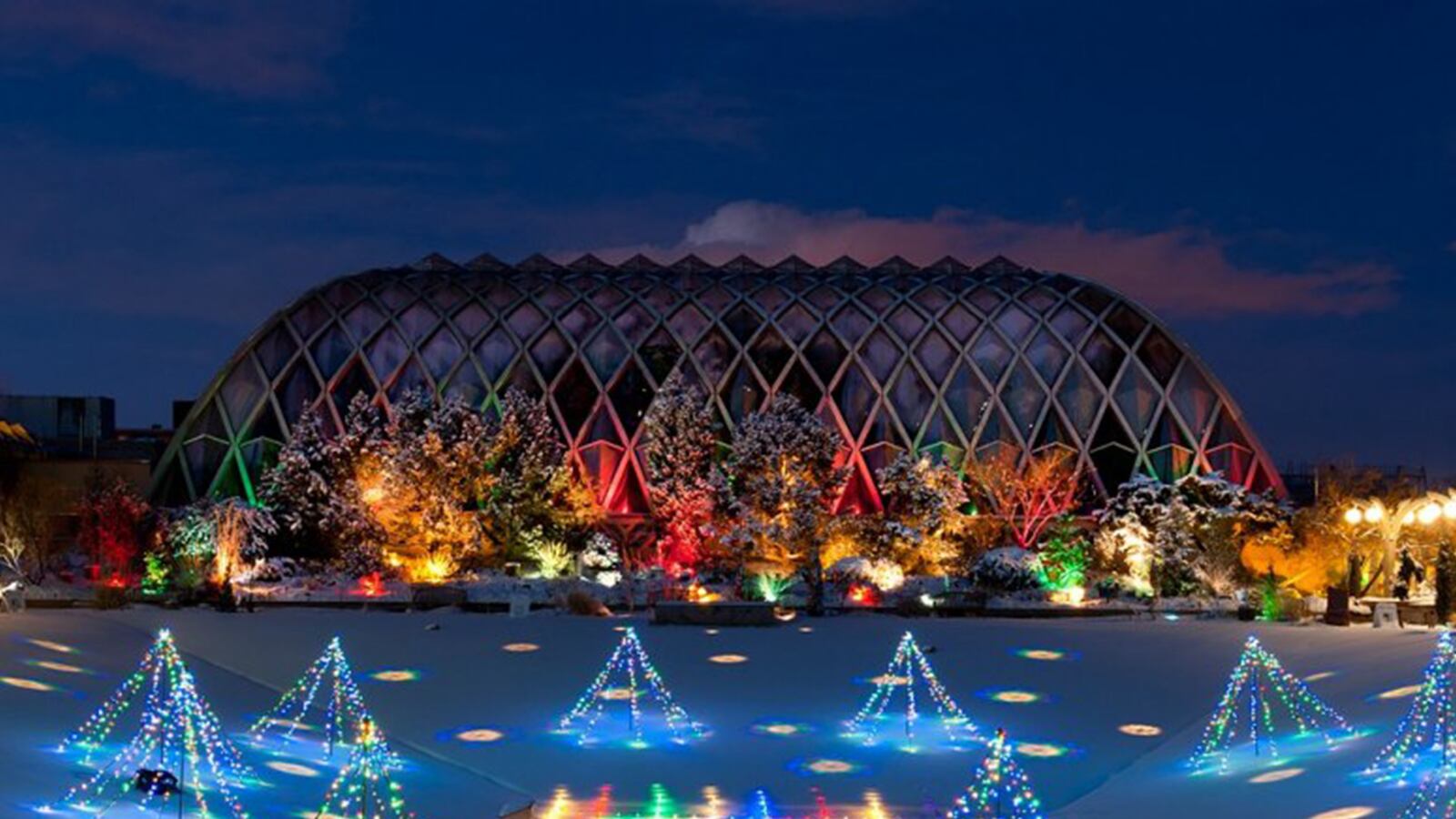 galleries/2013/12/14/this-is-why-you-should-visit-botanical-gardens-in-the-winter-photos/botantical-gardens-9_sj3zrb