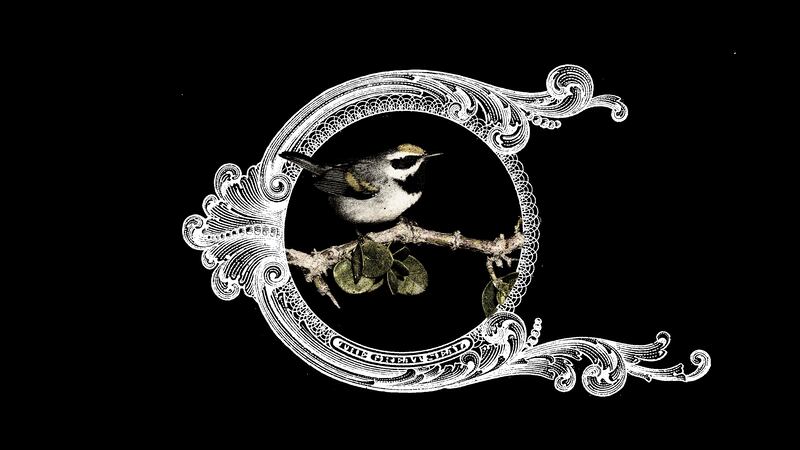 220816-greenwashing-deforestation-embed-1_uobnvm