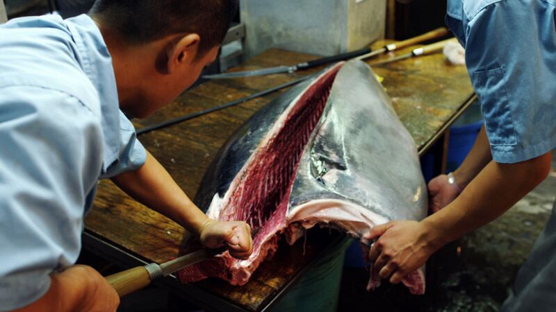 galleries/2012/03/08/jiro-dreams-of-sushi-photos/jiro-dreams-of-sushi-3_oq5x8z