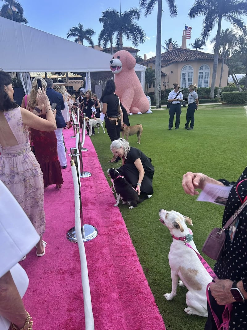 Mar a lago, Big Dog Ranch Rescue