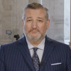 Ted Cruz on Newsmax