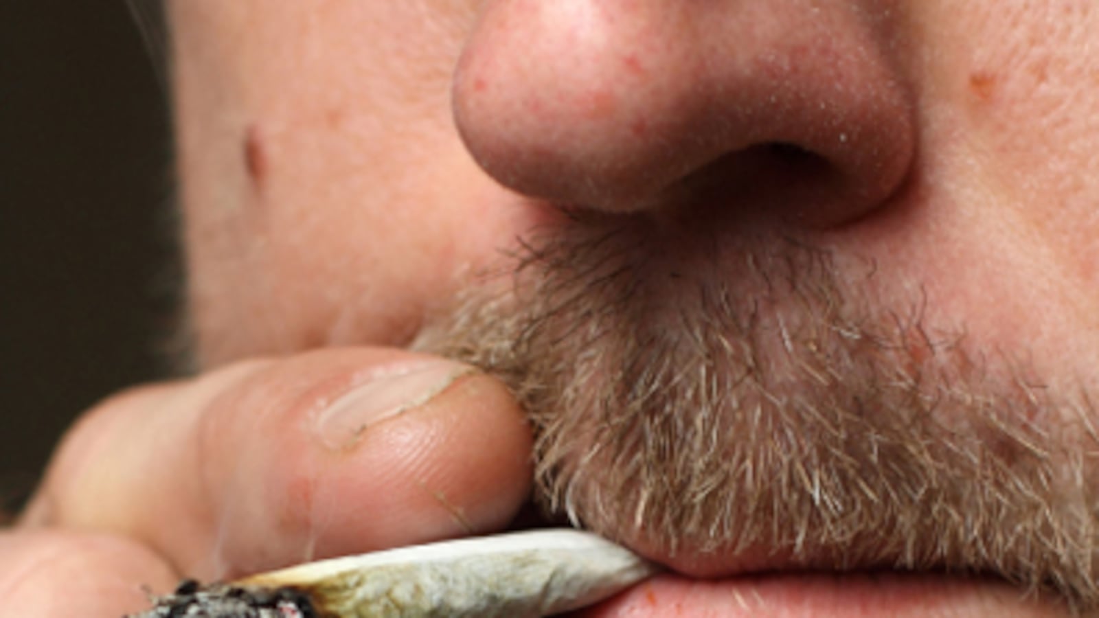 cheats/2010/11/03/pot-legalization-up-in-flames/pot-smoking_f7lcrc
