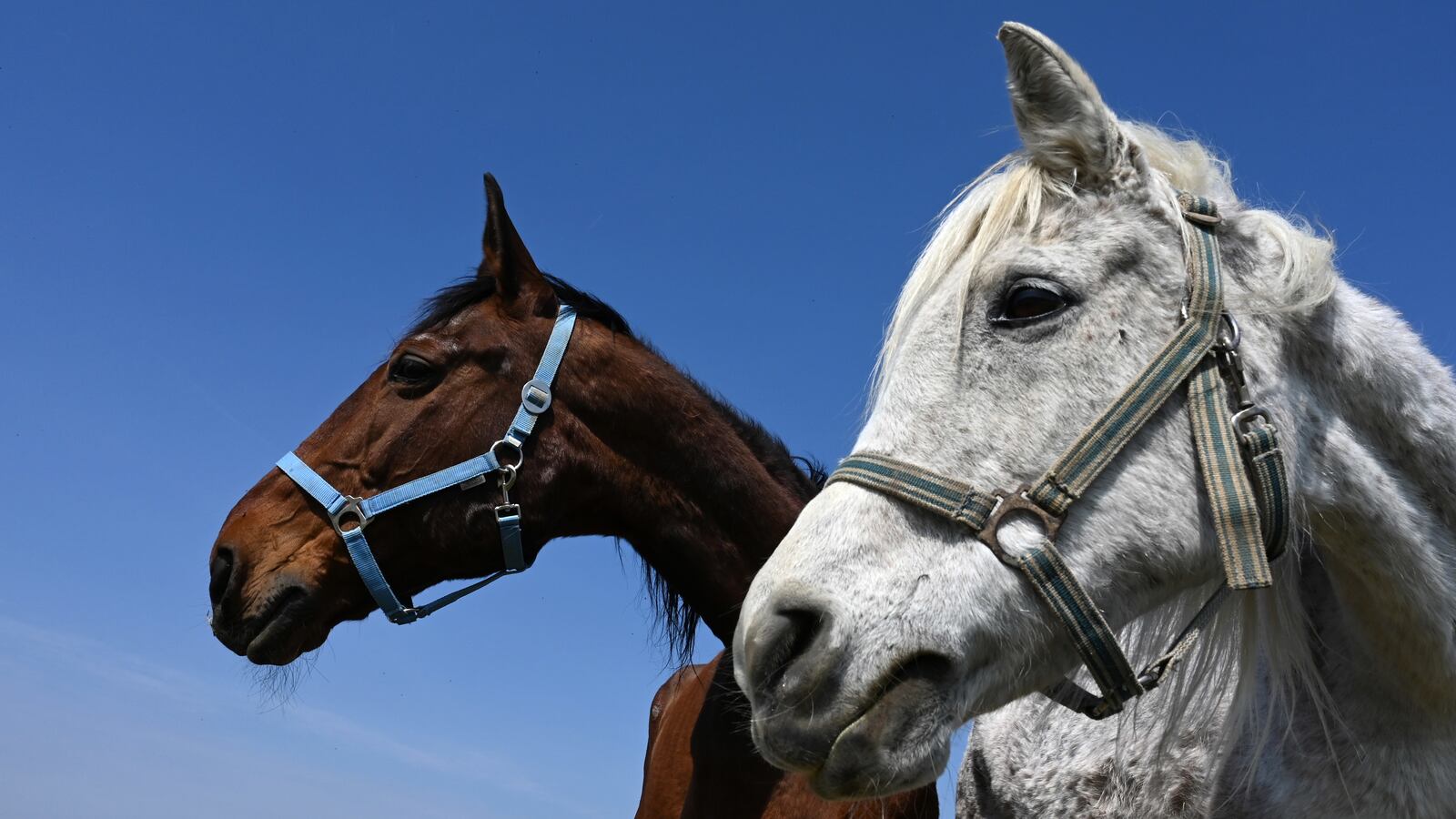 GettyImages-1137693413_hgdb8h