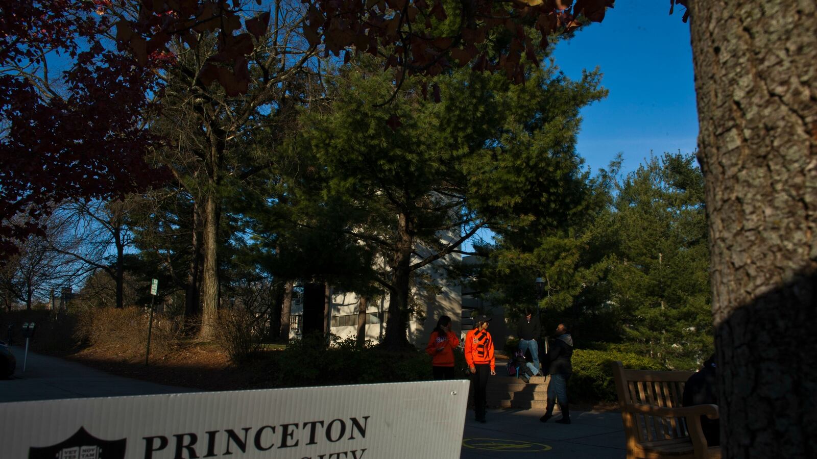 cheats/2016/12/16/princeton-suspends-men-s-swimming-team-for-racist-email-list/161216-princeton-swimming-cheat_s4gazx