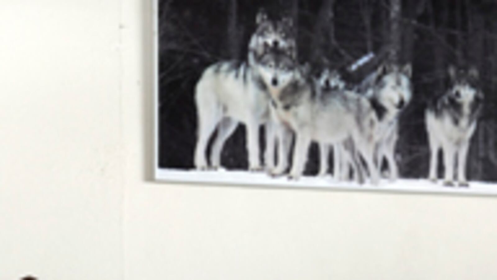 cheats/2010/03/14/jihad-jamie-released-from-jail/jihad-jamie-released_ttyukq