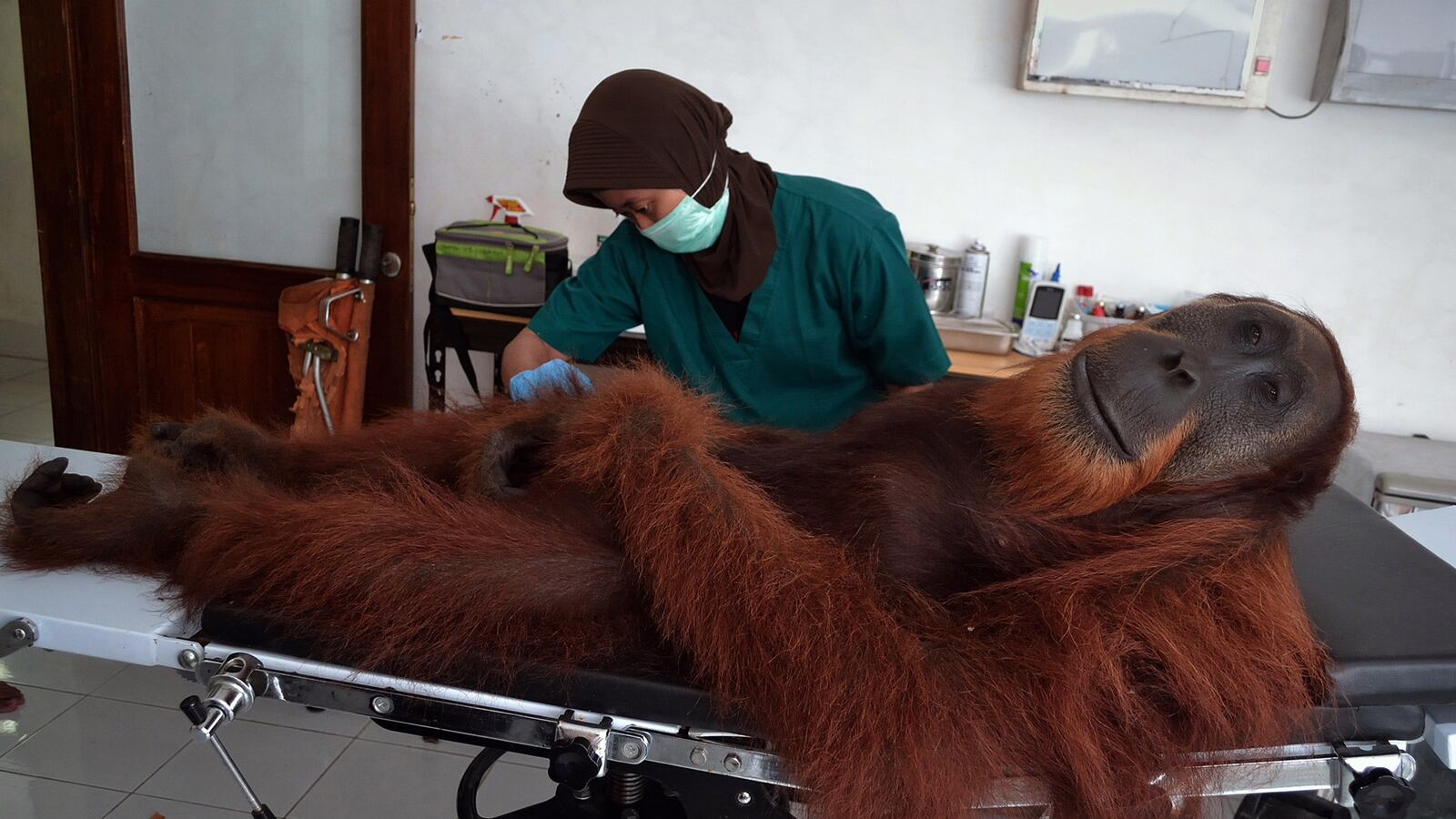 galleries/2014/04/19/week-in-pictures-april-19-2014/140418-week-photo16_frxnwr